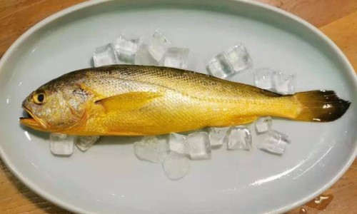 全麦面包有脂肪吗、面包是高脂肪还是低脂肪 -面包有脂肪吗网