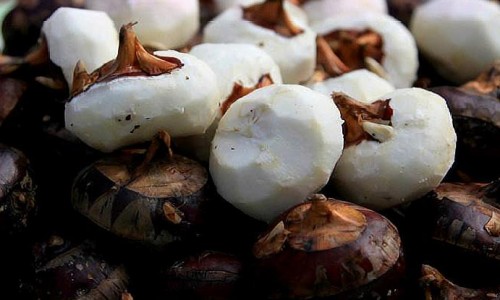 全麦面包有脂肪吗-全麦面包有脂肪吗、面包是高脂肪还是低脂肪 -面包有脂肪吗网